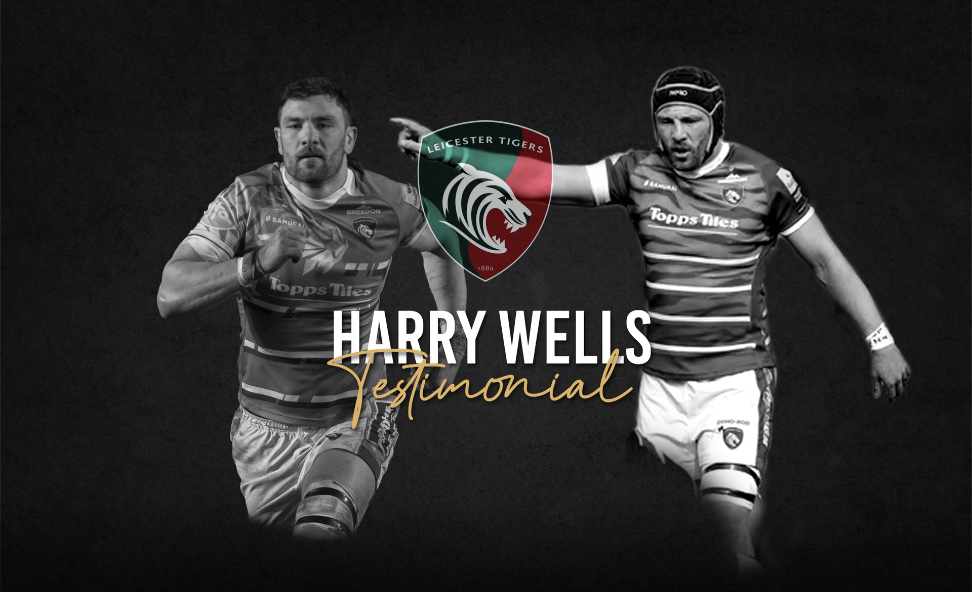 Harry Wells Testimonial